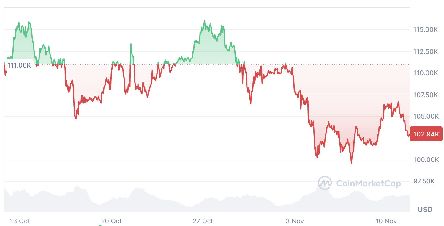 Bitcoin Có Thể Không Đáp Ứng Kỳ Vọng “Moonvember” Như Mong Đợi: Các Chuyên Gia Phân Tích
