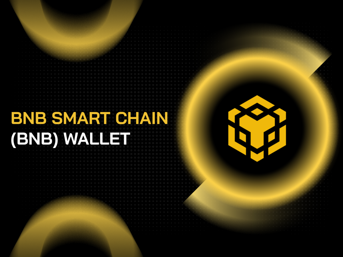 What Is BNB Chain Wallet? How To Create & Use BEP20 Wallet