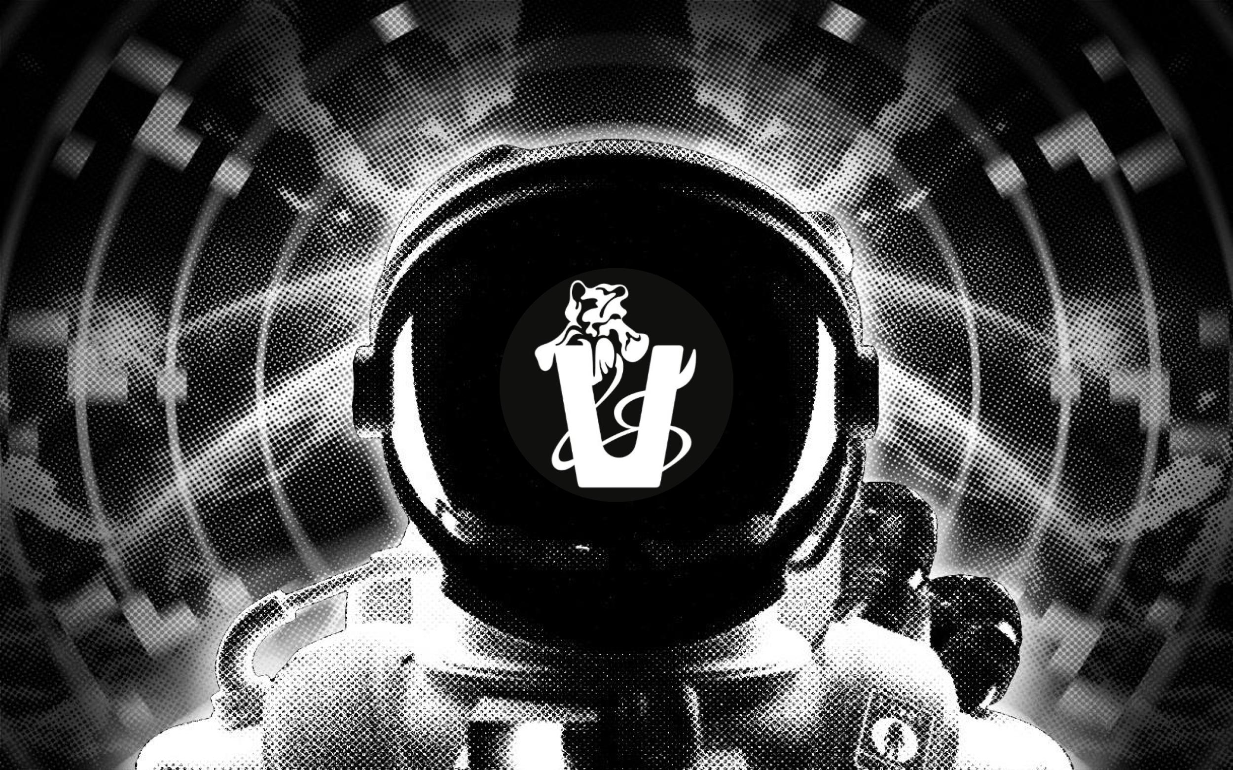 Vana coin là gì? Chi tiết VANA token trên Binance Launchpool