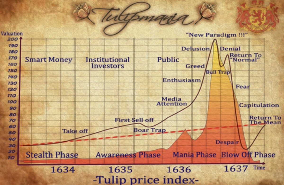 Bitcoin Buries The Tulip Myth After 17 Years: Balchunas – Vì Sao So Sánh Bitcoin Với Cơn Sốt Hoa Tulip Là Sai Lầm?
